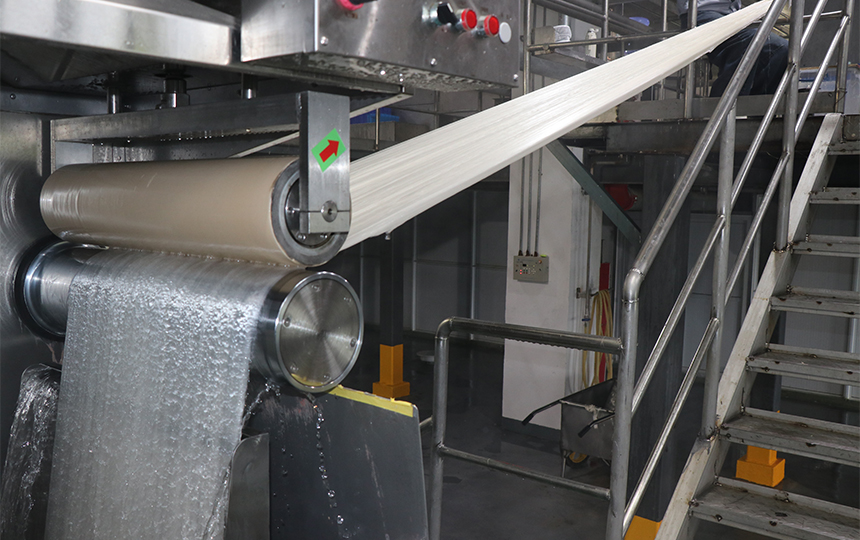 Lyocell fiber engineering facility