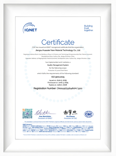 IQNET ISO 9001 Certificate for Jiangsu Huasier